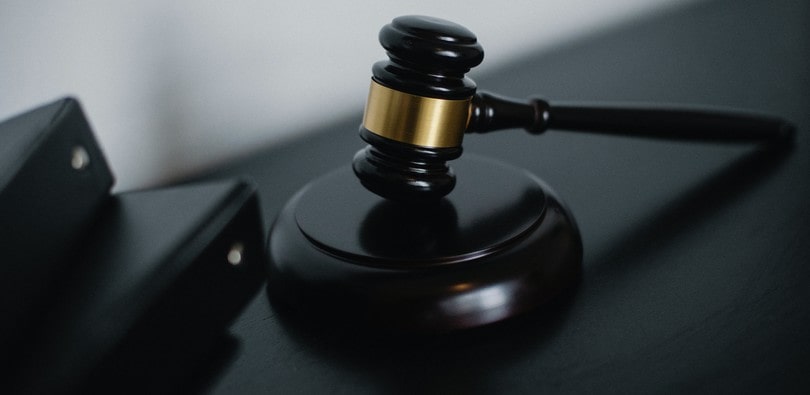Demander un extrait de casier judiciaire La demande d'extrait de casier judiciaire
