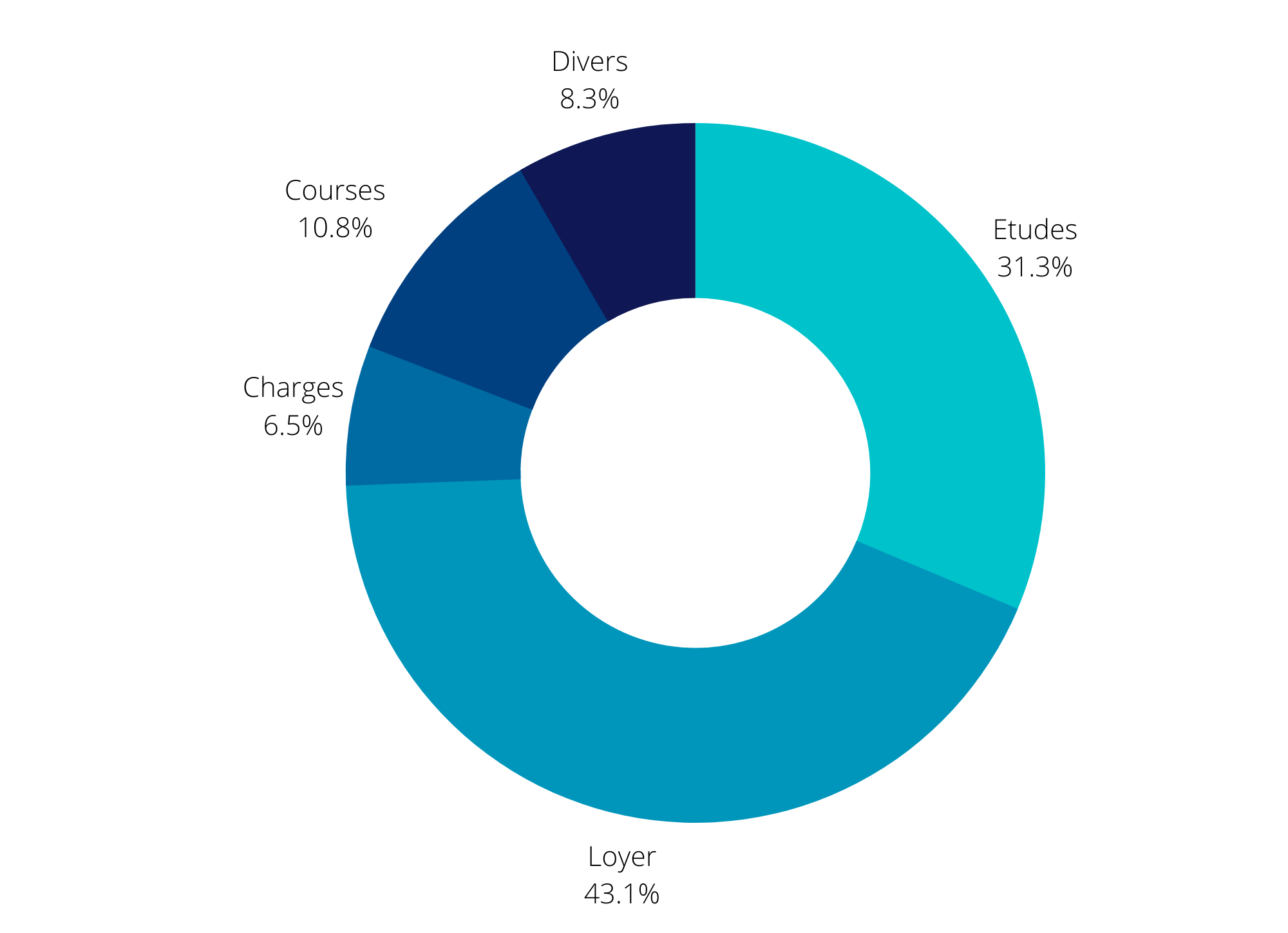 Graphique pour visualiser la répartition des dépenses d'un étudiant à Paris