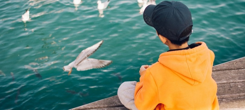 Le délaissement parental