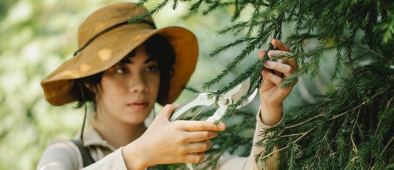 Personne coupant son arbre