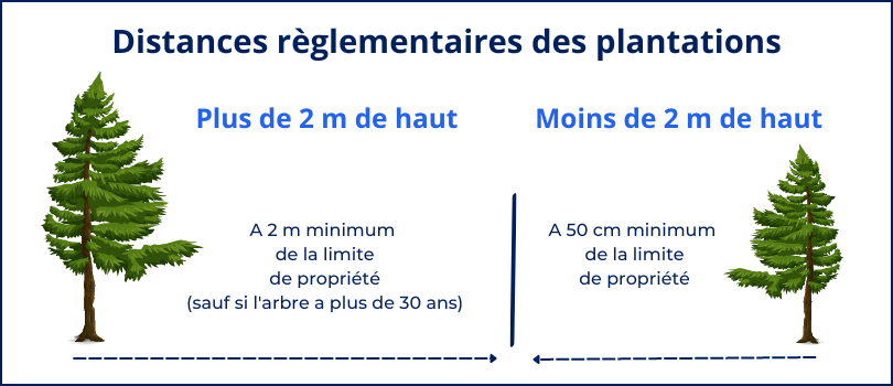 Schéma sur les distances à respecter pour la plantation des arbres et arbustes