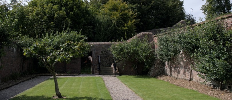 Jardin avec mur mitoyen