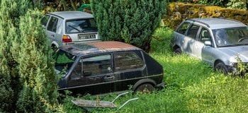 Jardin avec des épaves de voitures - trouble visuel voisin